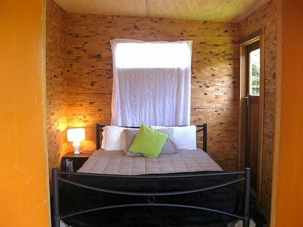 אוהקונה The Ski House On Miharo - Rangataua Holiday Home מראה חיצוני תמונה